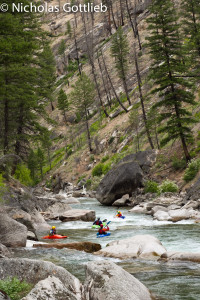 Loon Creek, MF Salmon Tributary