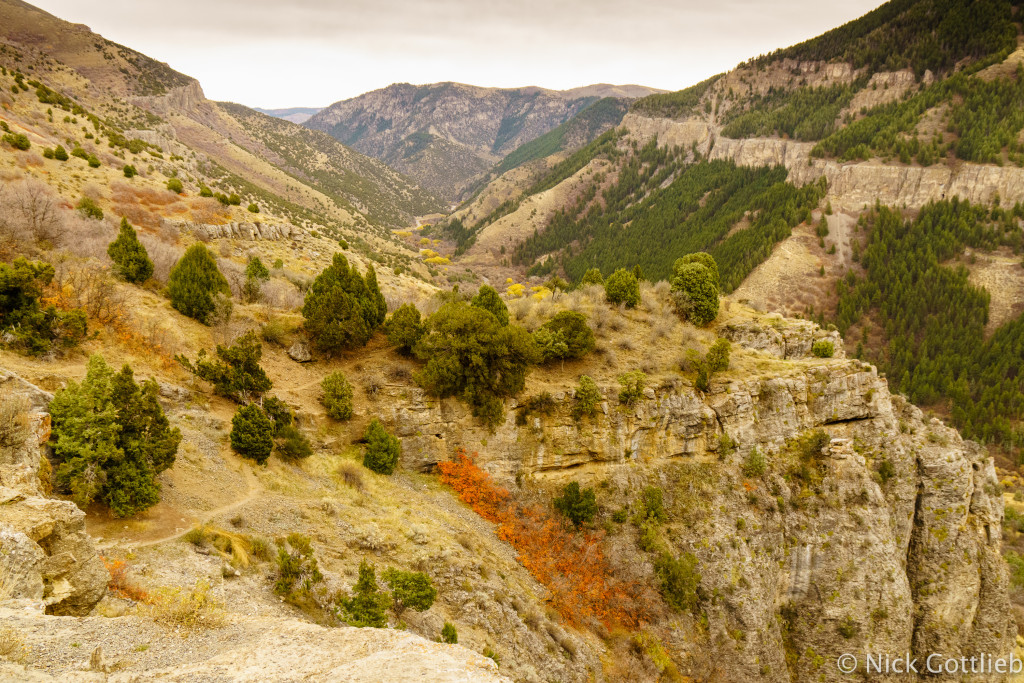 The view up the canyon from part way up the trail.
