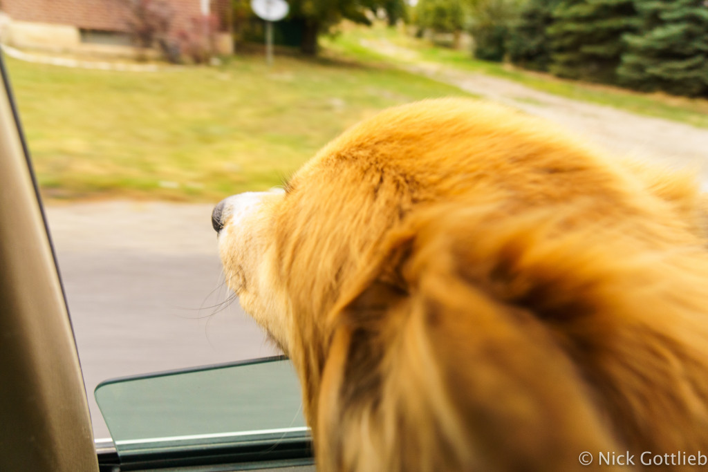Taking advantage of the short drive to the trailhead.