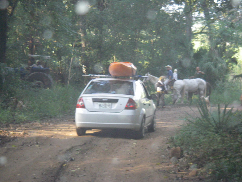 Logging trucks aren’t the only obstacles in this area.
